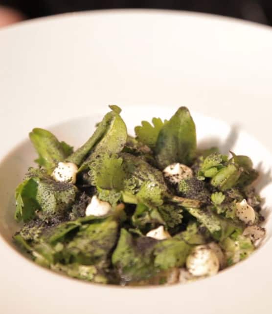 salade de couteaux de mer, concombre et coriandre