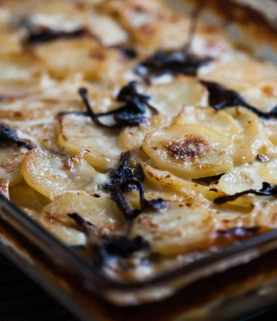 gratin dauphinois aux chanterelles