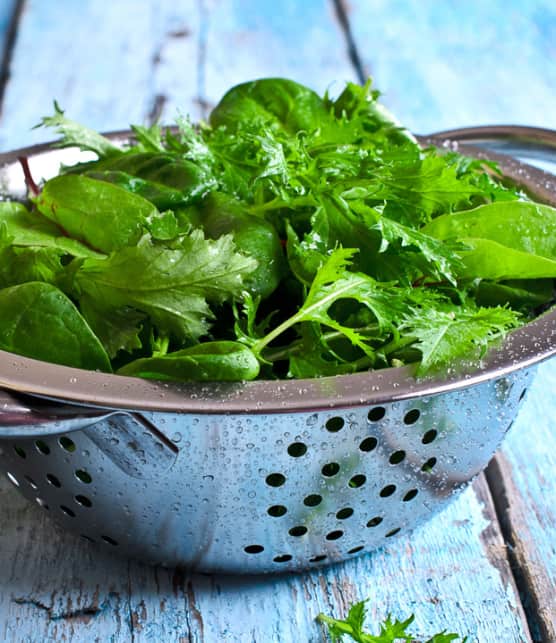 salade d'herbes fraîches