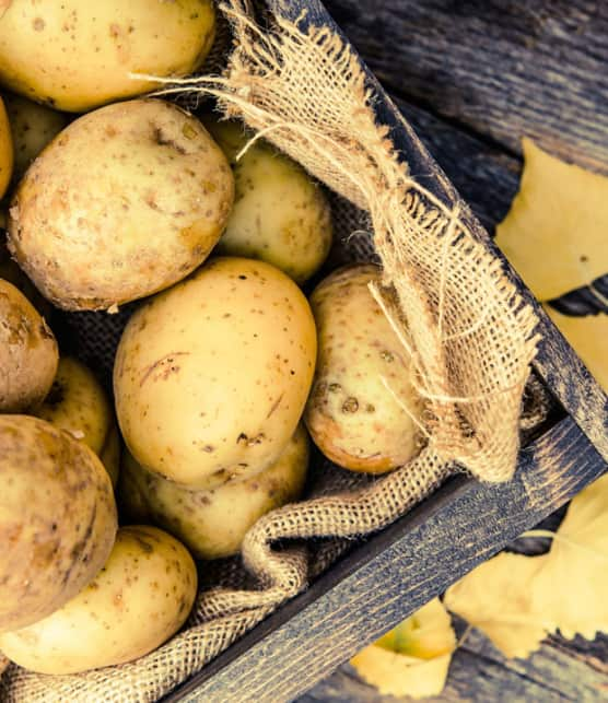 patates fricassées du Saguenay