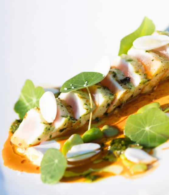 tataki de marlin bleu, chimichurri de capucines, purée de gourganes, labneh épicé, réduction de carotte au piment d’Alep, amandes fraîches