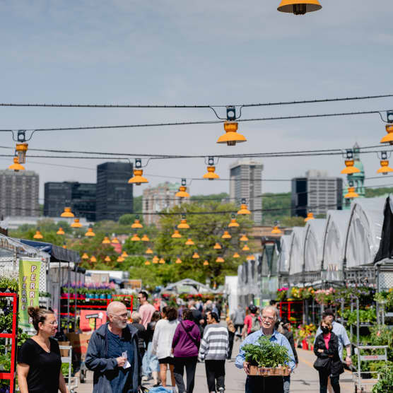 Les Marchés Publics de Montréal lancent leur saison estivale