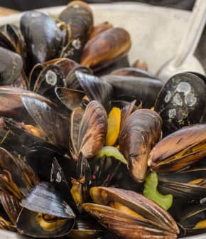 moules à la bière sur le barbecue