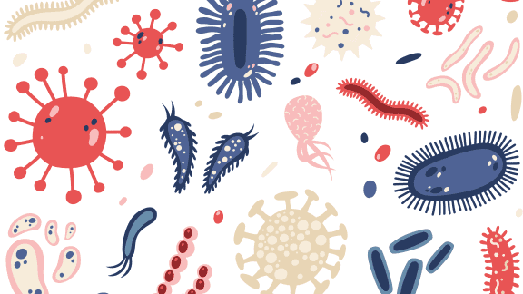 Le microbiote, de quoi s'agit-il au juste?