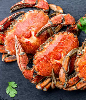 Comment remplacer les produits de la mer importés par des produits locaux dans nos recettes?