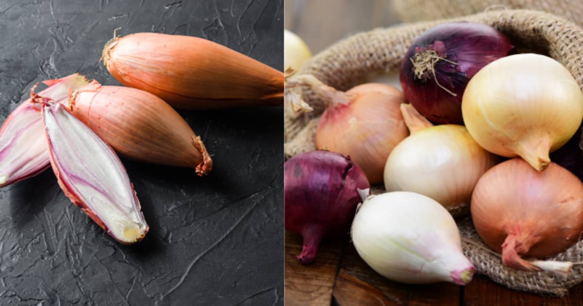 What is the difference between French shallots and onions?