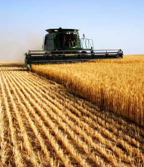 01 : L’Agriculture raisonnée