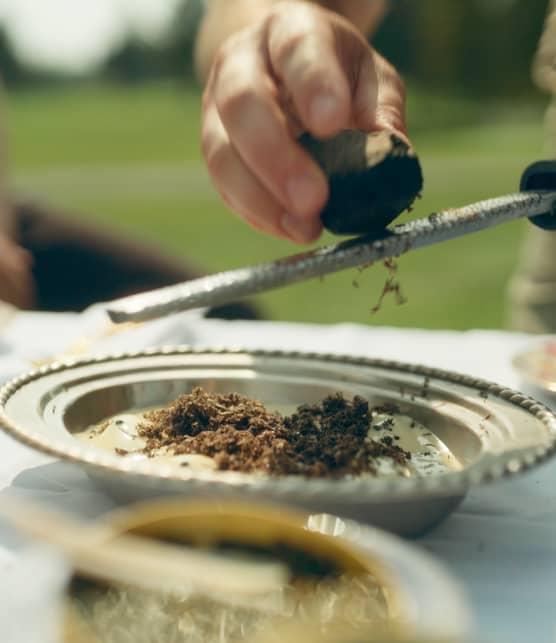 Oeufs mayonnaise à la truffe