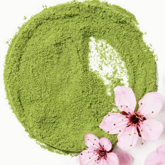 3 raisons de choisir le matcha plutôt que le café le matin