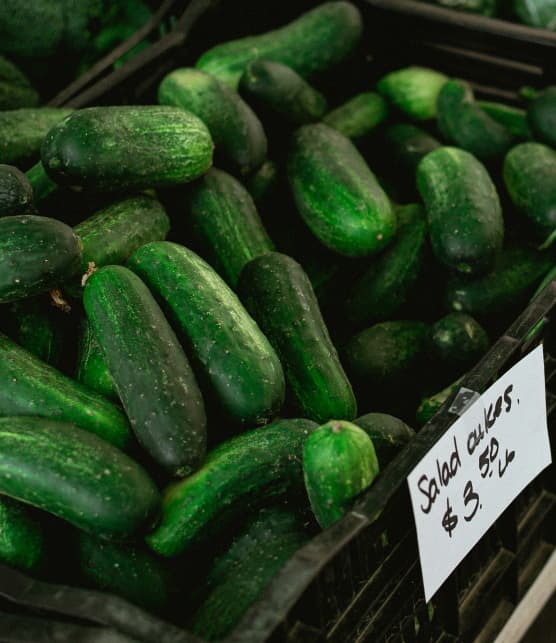 5 bienfaits du concombre sur la santé