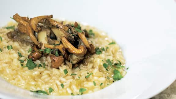 Risotto aux champignons