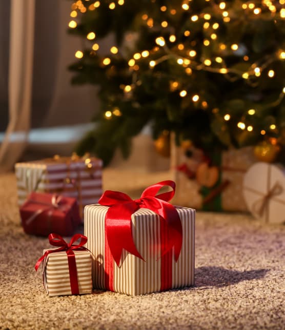 Guide-cadeau local : 15 idées de cadeaux québécois pour Noël