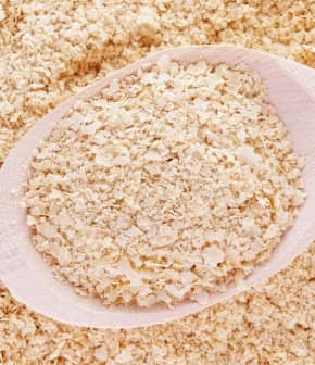 Qu’est-ce que la levure nutritionnelle et la levure de boulangerie?