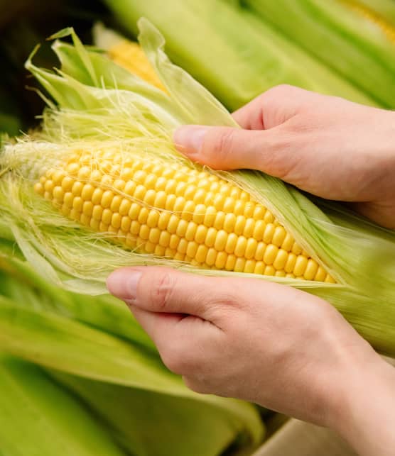 TOP : 8 beurres gourmands pour sublimer le blé d’Inde cet été