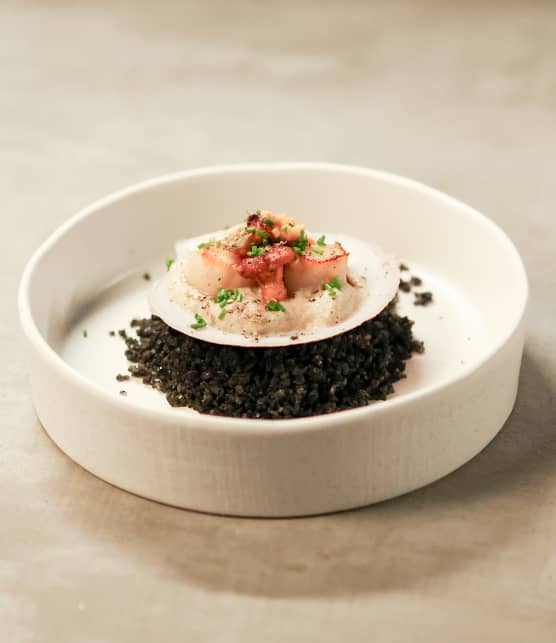 Pétoncles, espuma de pleurotes à la truffe, girolles à l’ail et beurre de corail