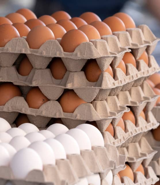 Le Canada est-il à l'abri de l'augmentation fulgurante du prix des oeufs?
