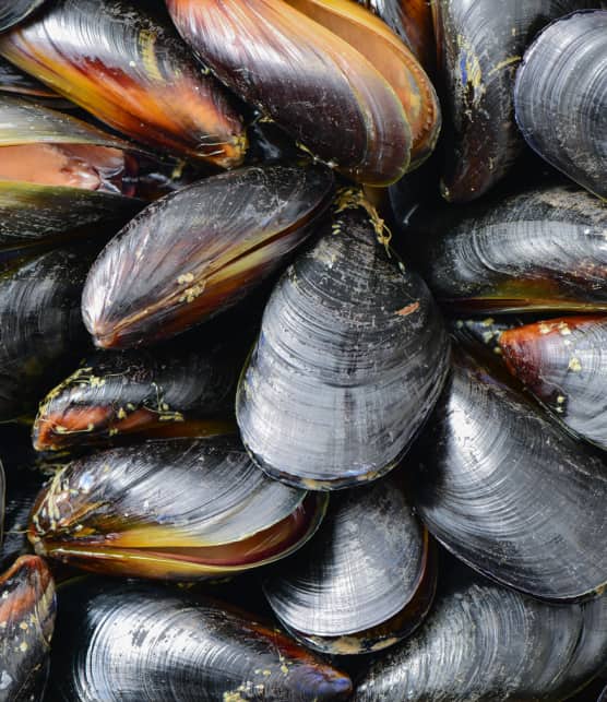 moules à la vapeur et salade de concombre