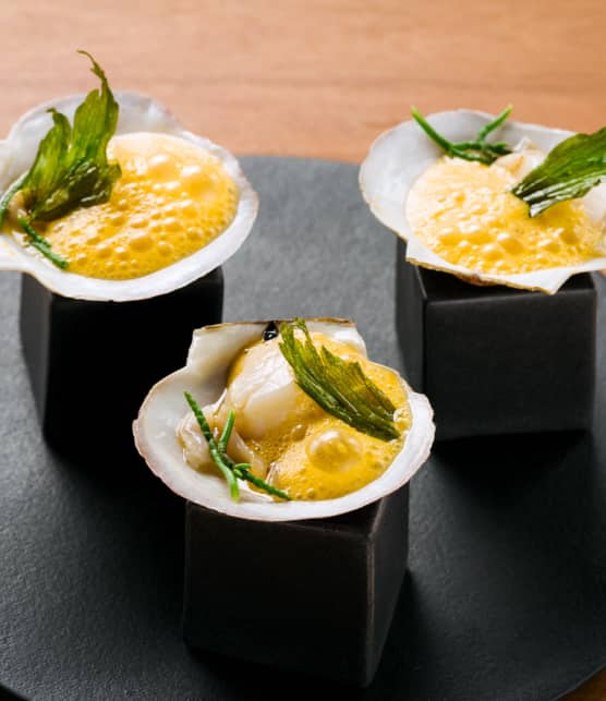 pétoncles coquilles à l'argousier