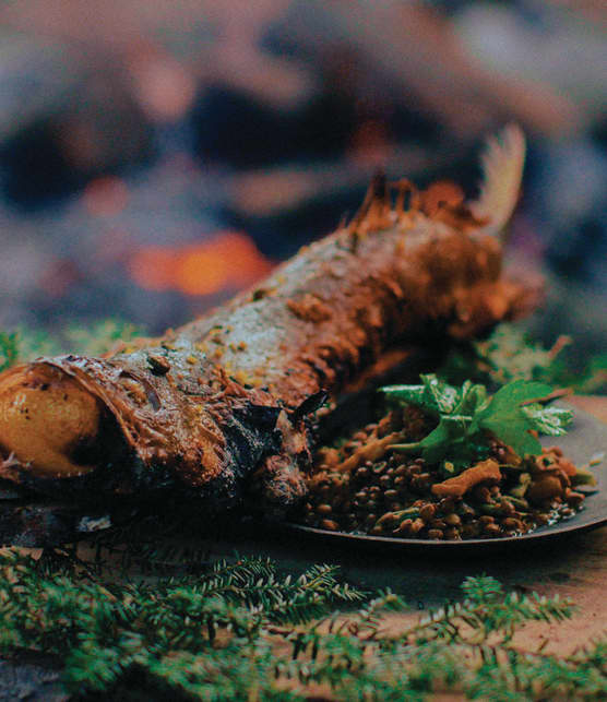 Doré de lac rôti au feu de bois, compotée de lentilles du Puy aux poivrons grillés et boutons de marguerite marinés