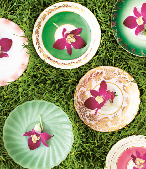 orchidées farcies