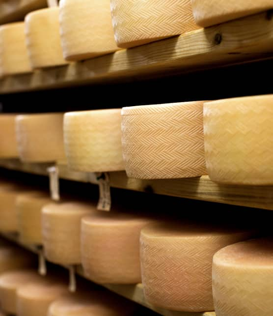 L'amoureuse des fromages