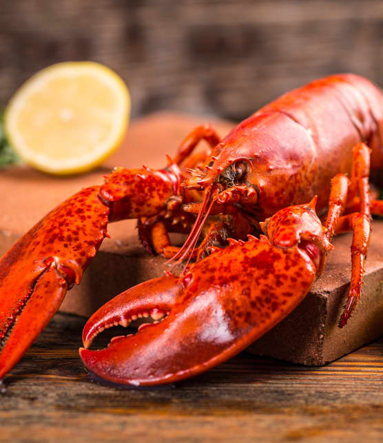 Voici où vous procurer du homard en MÉGA rabais pour la fête des Mères