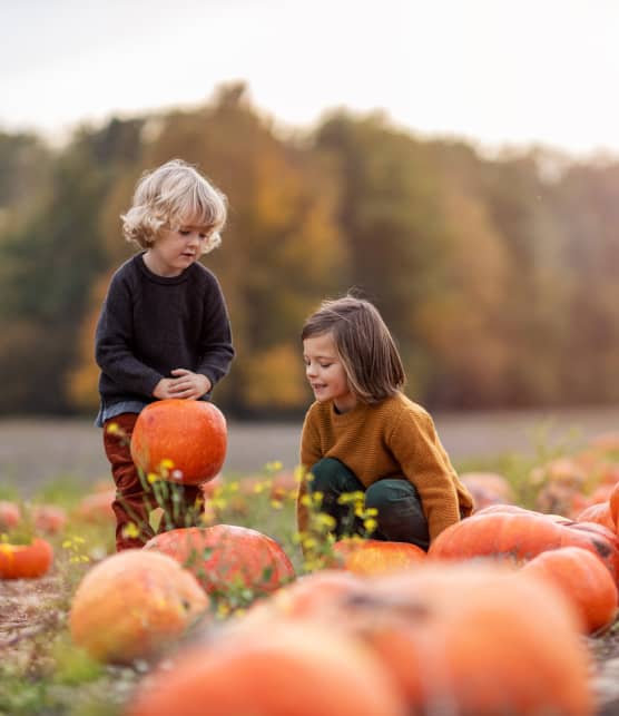 8 endroits où aller cueillir ses propres courges au Québec cet automne