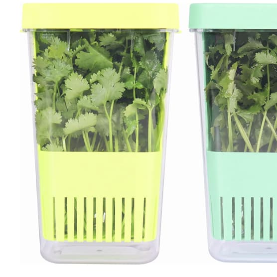 Comment conserver du basilic