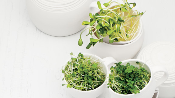 Comment faire des pousses et des germinations maison | Zeste